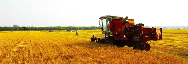 大面积机械化作业 大面积机械化作业