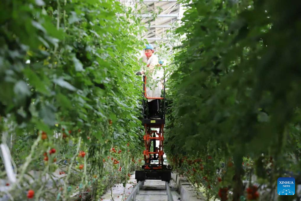 053064392a0d65a3e950dc09291e48a2_027145828df545d9a1095610951c9b67.jpg 053064392a0d65a3e950dc09291e48a2_027145828df545d9a1095610951c9b67.jpg