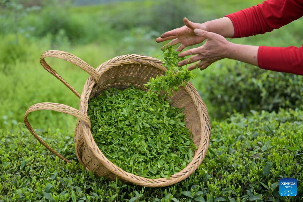 a221cc840858571578c617d7bdd95e64_20260409db270f22b0ba4b9bae1d4f5b352ee241_20260409e6fcb744664246d79542dfe440335392.jpg a221cc840858571578c617d7bdd95e64_20260409db270f22b0ba4b9bae1d4f5b352ee241_20260409e6fcb744664246d79542dfe440335392.jpg