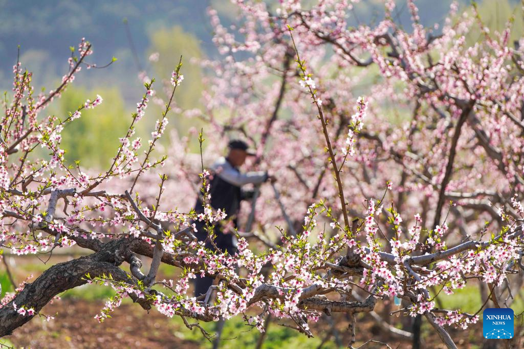 2c96ddd0d964e3eb4dfbb4bdfab049fa_20260412daa21845a71f4eb2903dd5e92eba5b4e_20260412564d285d3be84f8e877eba2e26ab764e.jpg 2c96ddd0d964e3eb4dfbb4bdfab049fa_20260412daa21845a71f4eb2903dd5e92eba5b4e_20260412564d285d3be84f8e877eba2e26ab764e.jpg