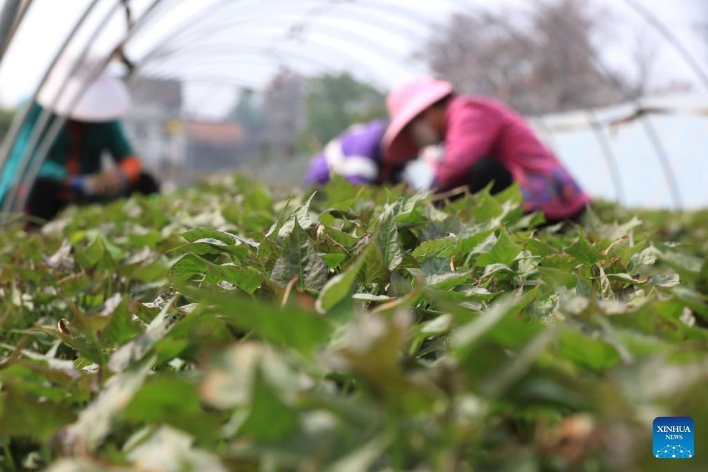 de78cfdb5151ed43ef26861d311d7b0c_20260412daa21845a71f4eb2903dd5e92eba5b4e_20260412b54a1e855fee4b25b39a1fcaa502930f.jpg de78cfdb5151ed43ef26861d311d7b0c_20260412daa21845a71f4eb2903dd5e92eba5b4e_20260412b54a1e855fee4b25b39a1fcaa502930f.jpg