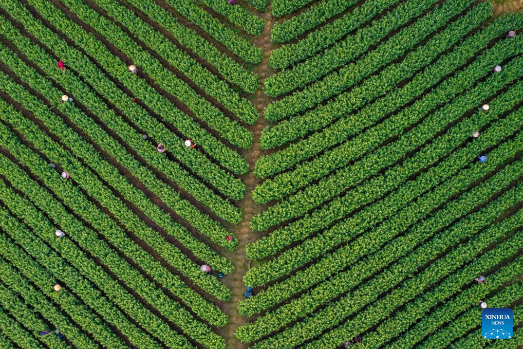 b6762570fa472c45fd42c8db64cf872b_20260412daa21845a71f4eb2903dd5e92eba5b4e_2026041260b17883aa444eeca8df5fd67ac13c35.jpg b6762570fa472c45fd42c8db64cf872b_20260412daa21845a71f4eb2903dd5e92eba5b4e_2026041260b17883aa444eeca8df5fd67ac13c35.jpg