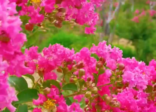 284.png 284.png