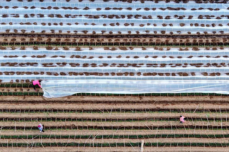  Preventive measures taken as cold front sweeps across northern Ch... 