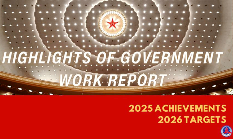  Posters: Highlights of government work report