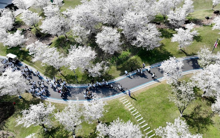  People embrace spring across China