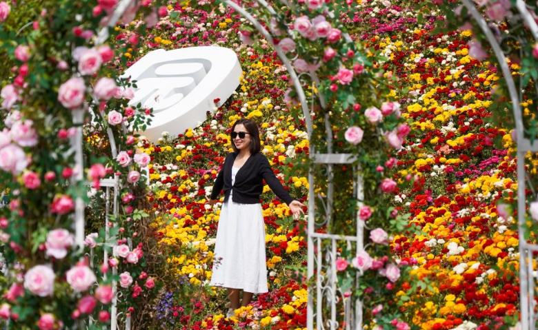  Flower-themed tourism boosts villagers' income in China's Shandon... 