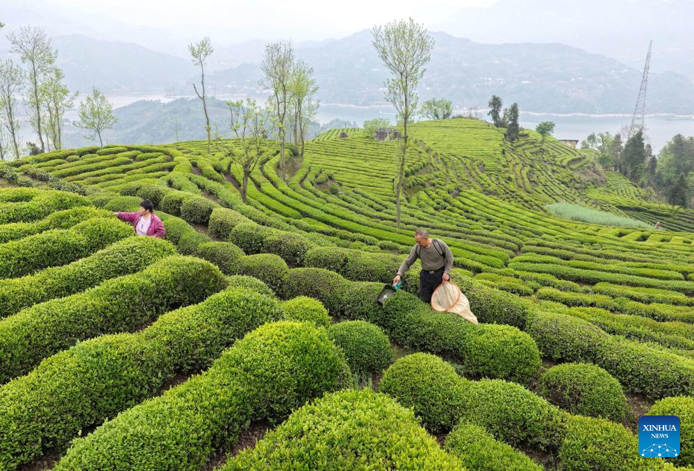 096221836003cd63f5a1e74b53471b4c_20260412daa21845a71f4eb2903dd5e92eba5b4e_20260412ecdc182d2363450cb62d145dee652d42.jpg 096221836003cd63f5a1e74b53471b4c_20260412daa21845a71f4eb2903dd5e92eba5b4e_20260412ecdc182d2363450cb62d145dee652d42.jpg