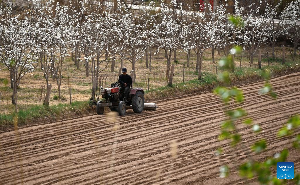 e3b502d32d9a15d54ea3224ff45bc2d1_20260412daa21845a71f4eb2903dd5e92eba5b4e_20260412a482d65d2b0a4e13bf1c41ce8ff9a4a0.jpg e3b502d32d9a15d54ea3224ff45bc2d1_20260412daa21845a71f4eb2903dd5e92eba5b4e_20260412a482d65d2b0a4e13bf1c41ce8ff9a4a0.jpg