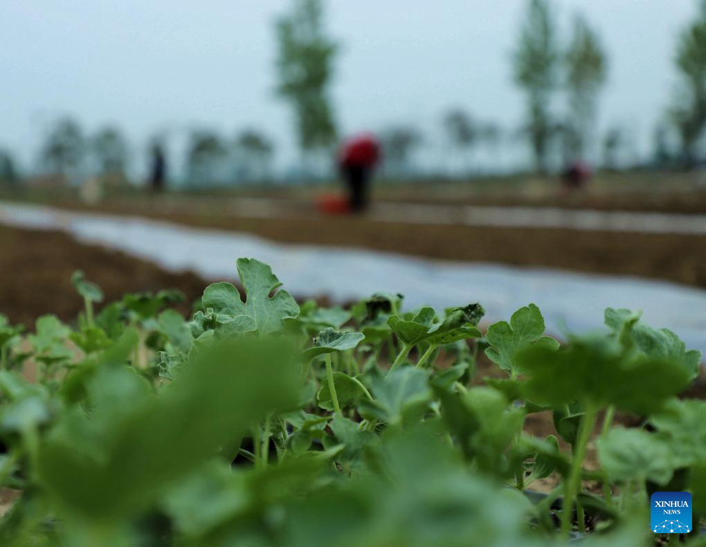 c267944295807fb128102383b70f5967_20260412daa21845a71f4eb2903dd5e92eba5b4e_202604124ce17519d7e64f58a010c7cf4334fca3.jpg c267944295807fb128102383b70f5967_20260412daa21845a71f4eb2903dd5e92eba5b4e_202604124ce17519d7e64f58a010c7cf4334fca3.jpg