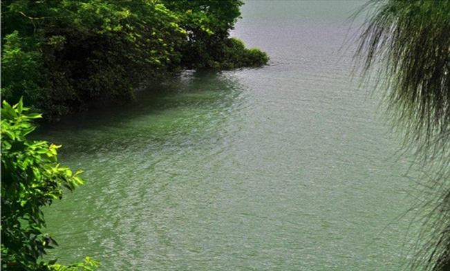 罗庄双月湖 罗庄双月湖